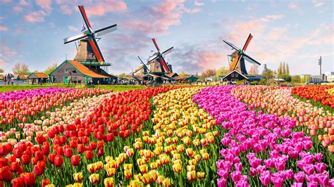 when are the cheapest flights to amsterdam